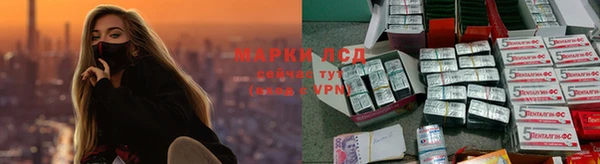 бошки Алзамай