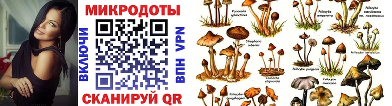 Псилоцибиновые грибы Cubensis  Слюдянка 